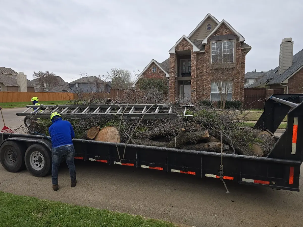 Expert Tree Fertilization with proper safety equipment in Roseland